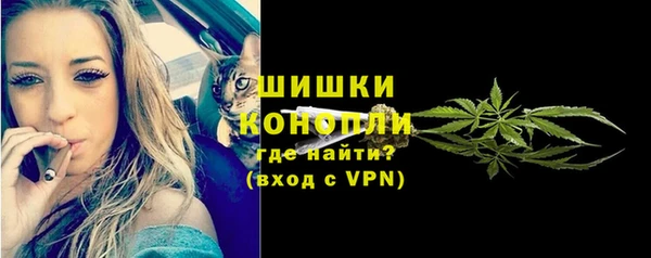 apvp Гусь-Хрустальный