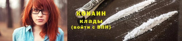 сатива Гусев