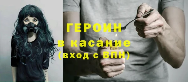 сатива Гусев