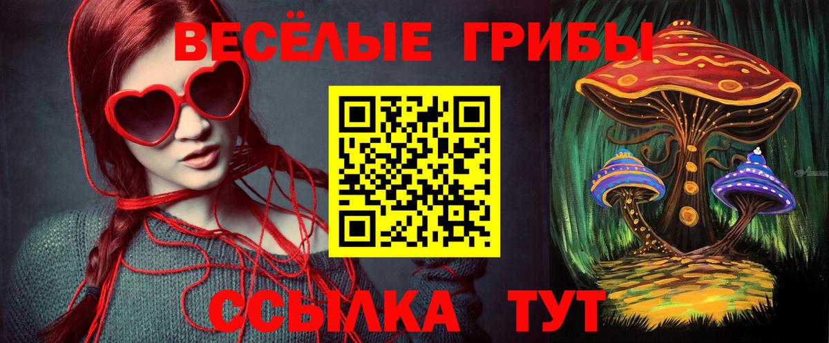 Галлюциногенные грибы прущие грибы  Дедовск 