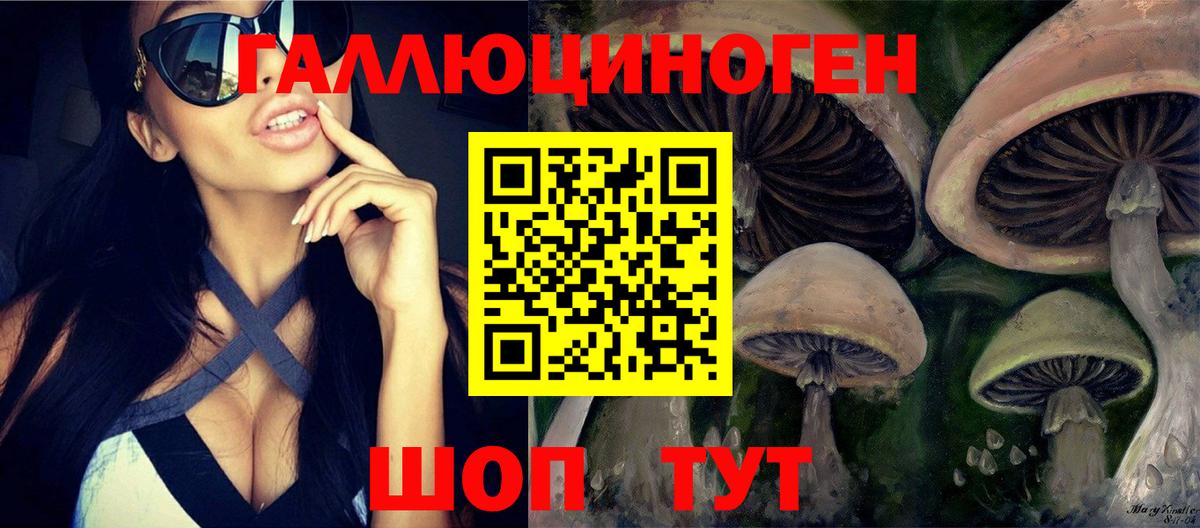 Галлюциногенные грибы Psilocybine cubensis Дедовск