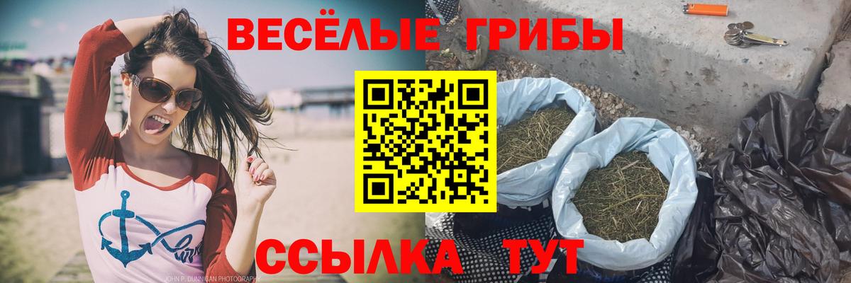 Дедовск  Галлюциногенные грибы мухоморы  Вход с VPN 